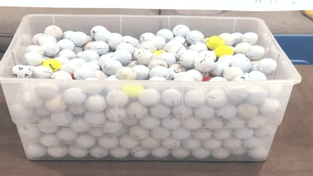 Golfové míčky, které přistály na pozemku rodiny Tenczarových