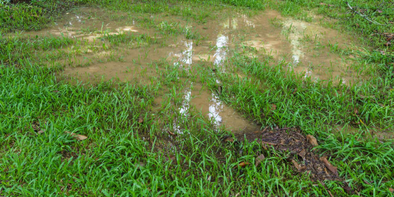 Voda se v zahradě přirozeně zadržuje v prohlubních