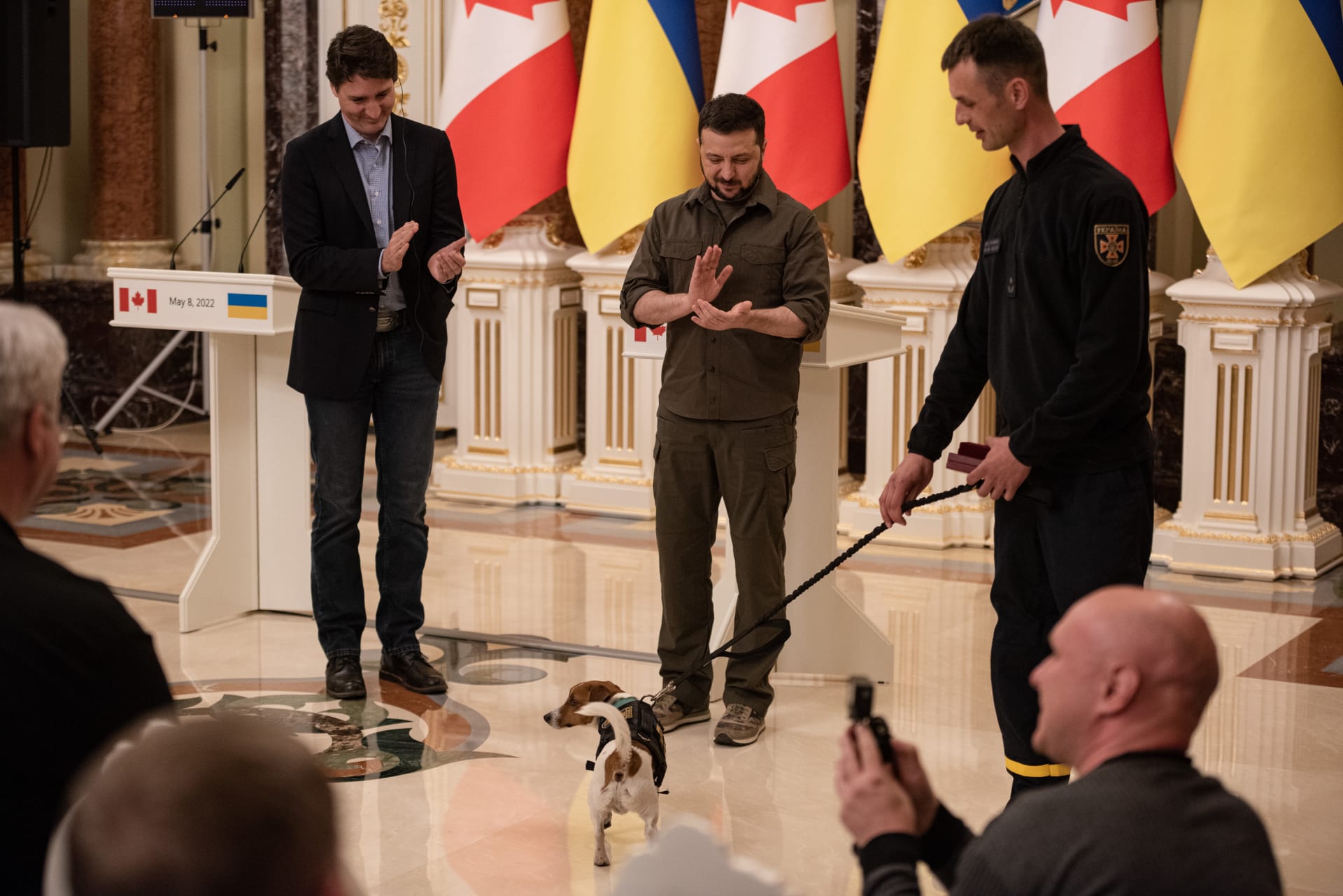 Malý Jack Russel teriér totiž na Ukrajině pomáhá odhalovat miny a výbušniny. A za cenu byl, zdá se, rád.