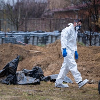 Řadu zavražděných obyvatel Buče Rusové jen hodili do masových hrobů. Poslední týdny probíhá exhumace jejich ostatků.