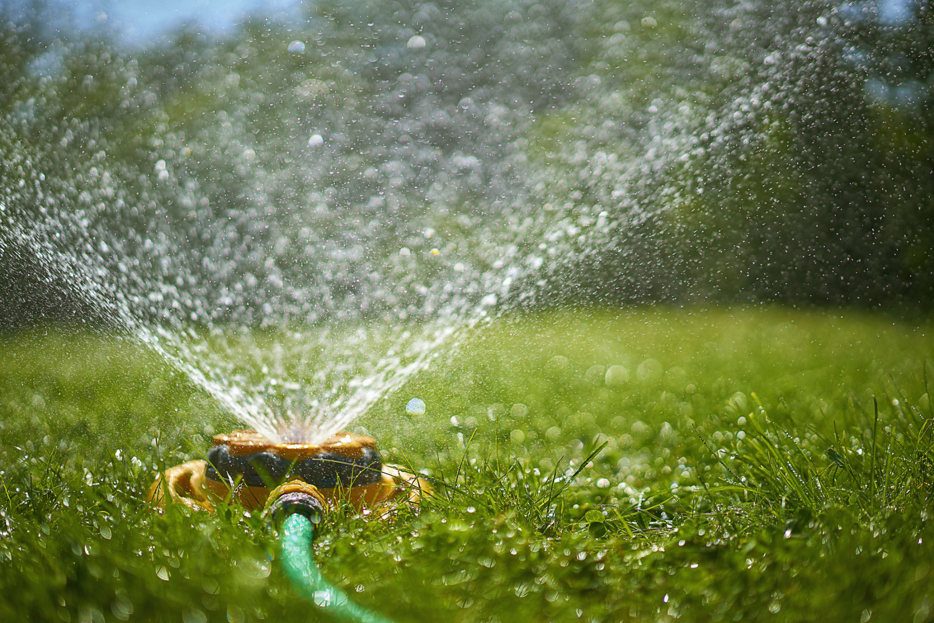 Na zahradě se dá ušetřit skutečně hodně vody, pokud zvolíte správná řešení