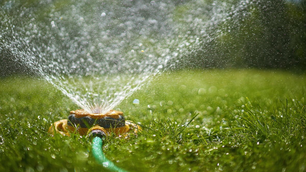 Na zahradě se dá ušetřit skutečně hodně vody, pokud zvolíte správná řešení