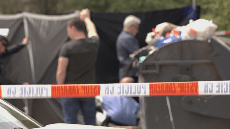 Policisté v srpnu 2014 nalezli tělo dítěte starého nanejvýš pár hodin v jednom z kontejnerů na odpad mezi panelovými domy ve Strašnicích. (Ilustrační foto)