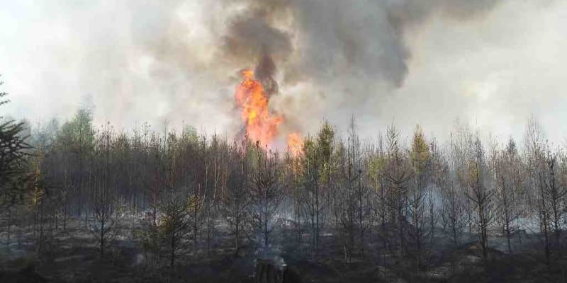 Požár lesa na Brněnsku