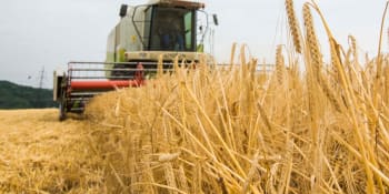 KOMENTÁŘ: Hrozí Česku hladomor? Agrární komora straší potravinovou apokalypsou