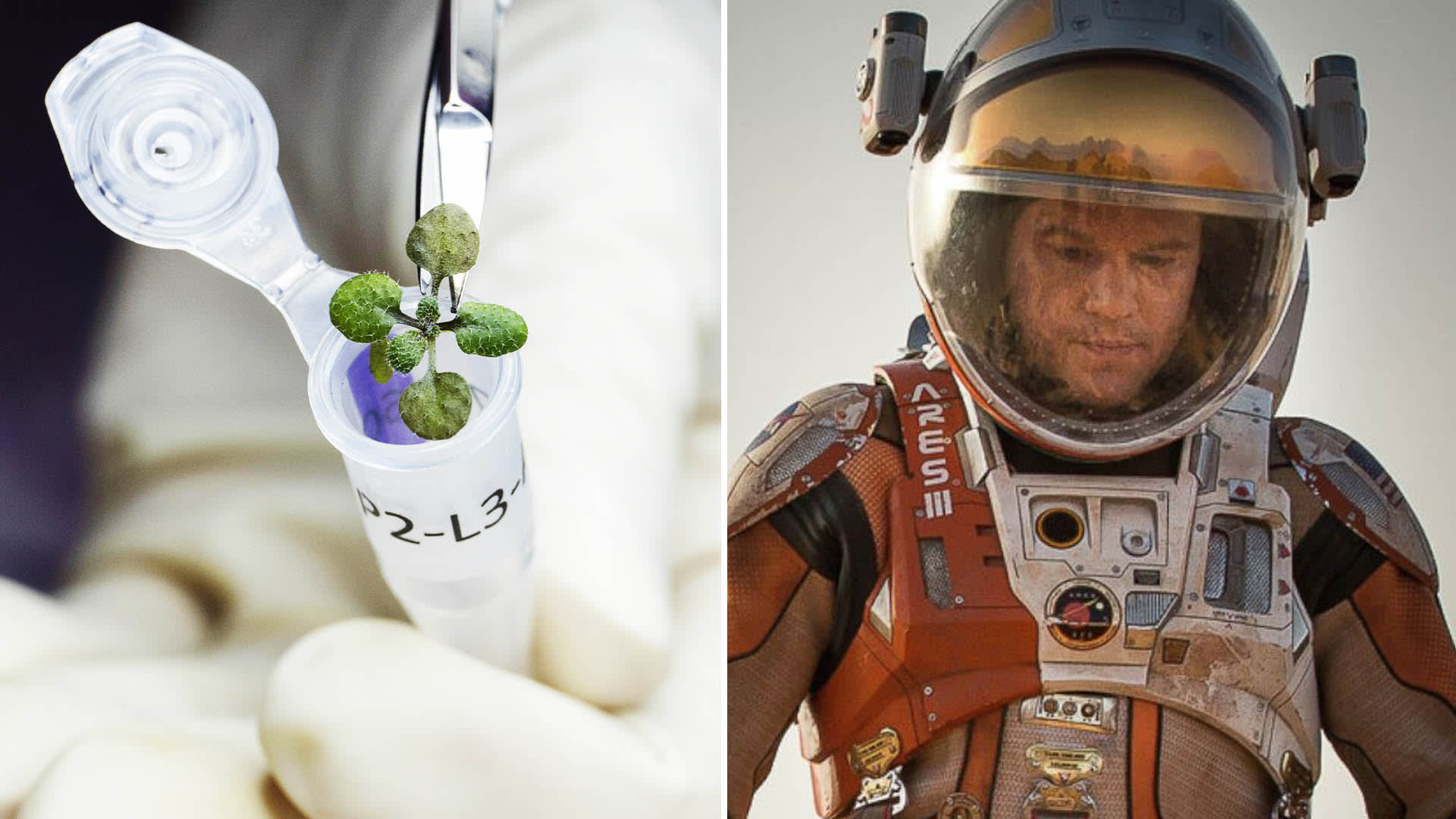 Budeme jednou pěstovat brambory na Marsu jako ve filmu Marťan?