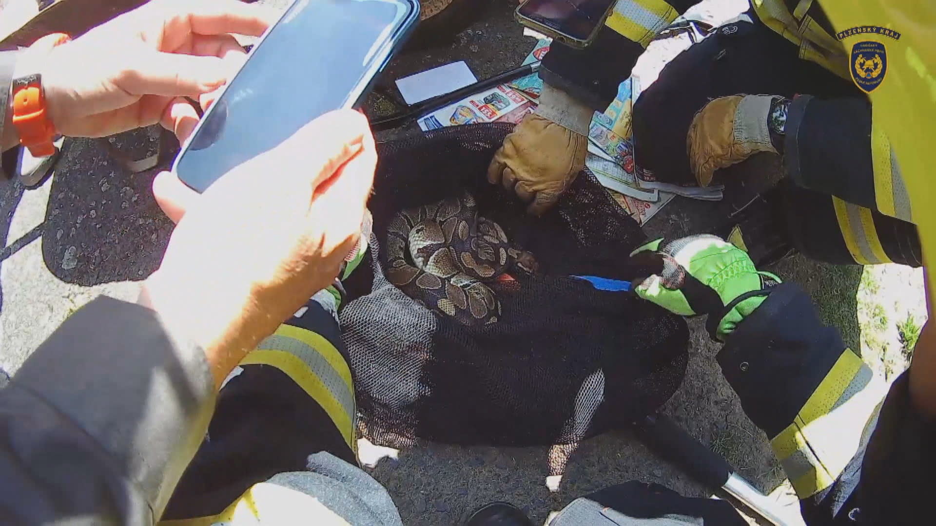 Popeláři zavolali hasiče na pomoc, když v odpadcích našli exotického hada.