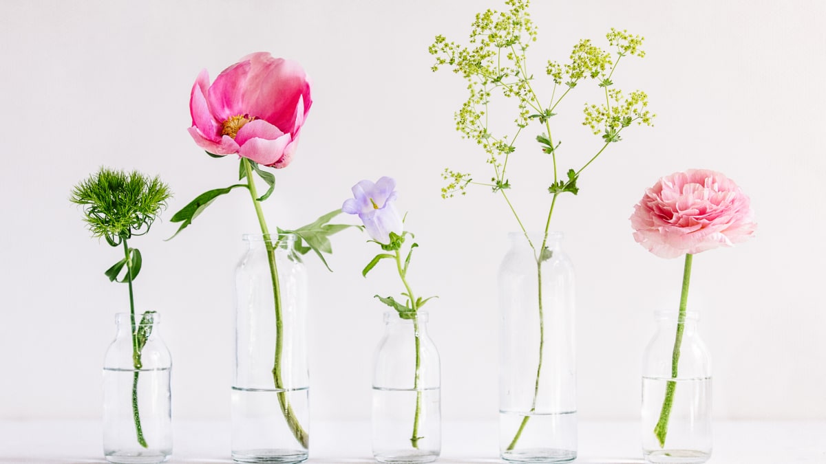 Jednoduché skleněné vázy jsou skvělé v tom, že se dobře udržují čisté