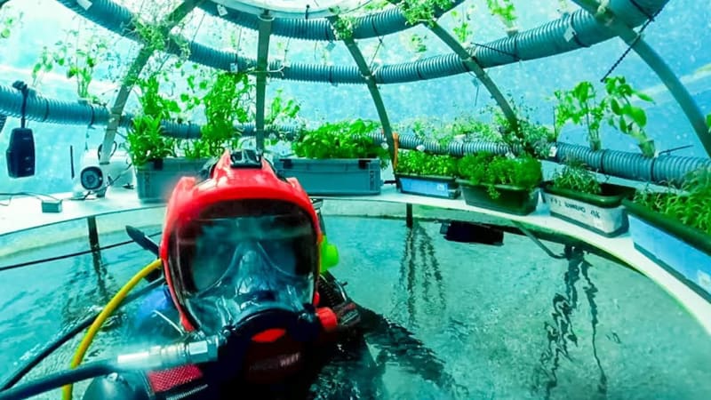 Unikátní podmořská zahrada připomíná sci-fi. Podívejte se na budoucnost zemědělství