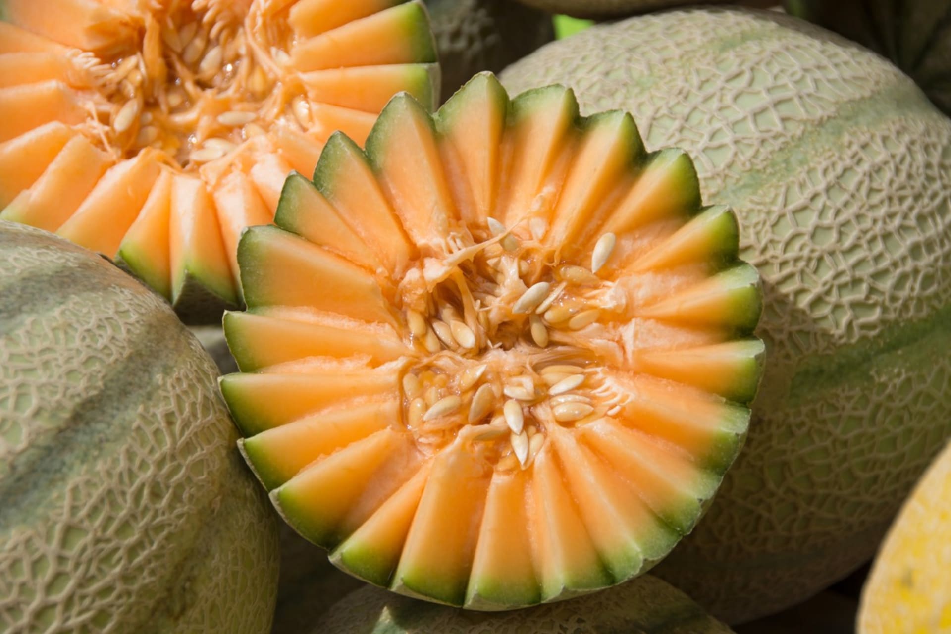 Cantaloupe (kantalup nebo taky muškátový meloun) je cukrový meloun  se sladkou oranžovou dužinou, vonící po ananasu a síťovanou  slupkou.