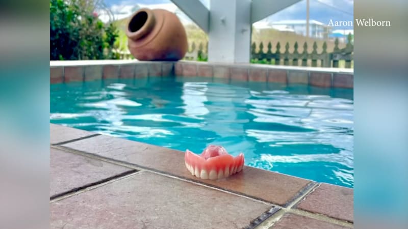 Šnorchlař našel zubní protézu v hodnotě 2 000 dolarů a navrátil ji jejímu majiteli.