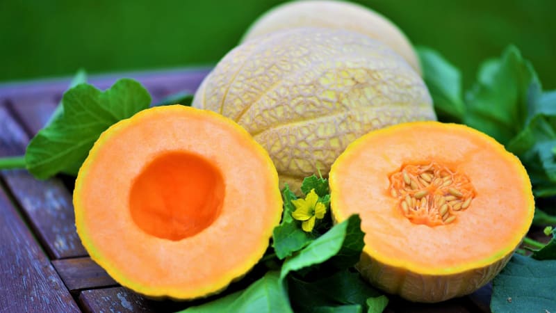 Charentais je cukrový meloun se sytě oranžovou, sladkou a aromatickou dužinou s dužinoua světlezelenou, slabě síťovanou kůrou s žebernatěním.