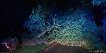 Drtivé následky bouřek. U českého souseda větrem vyvrácené stromy zabily dva lidi