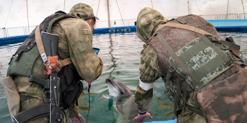 Ruští vojáci si prohlíží delfína v akváriu ve městě Skadovsk v Chersonské oblasti.