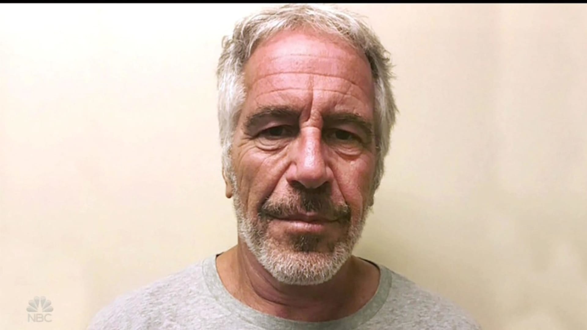 Fotografie Jeffreyho Epsteina pořízená po jeho zatčení v roce 2019.