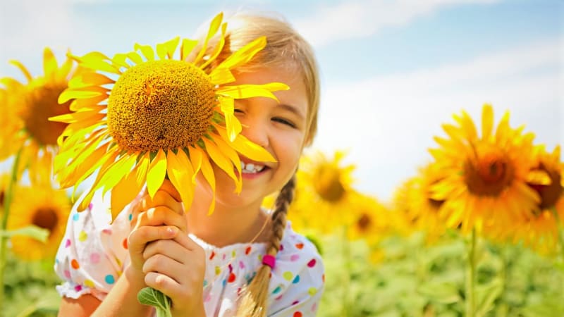 Seznamte se s deseti letničkami a trvalkami, které si přímo libují na přímém slunci. Když na vaši zahradu, balkon či terasu v létě svítí celý den slunce, pěstujte květiny, které ho milují. Jako například slunečnice!