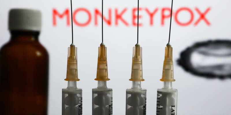 Na opičí neštovice by měly fungovat vakcíny. (Ilustrační foto)