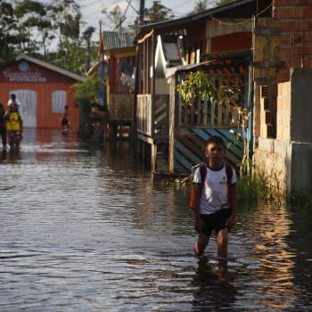 Žák jde do školy po ulici zaplavené stoupající hladinou řeky Negro v Irandubě v brazilském státě Amazonas. Snímek z pondělí 23. května 2022. 