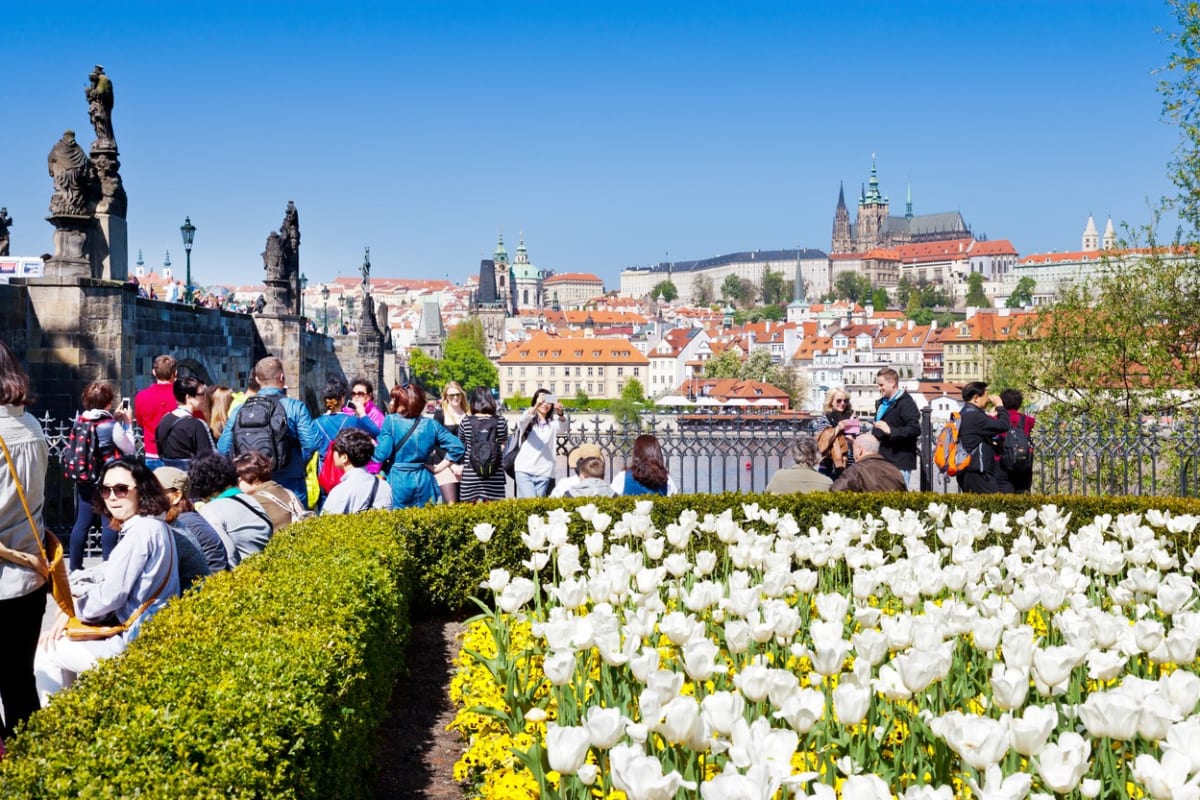 Hrubý domácí produkt České republiky se v prvním čtvrtletí letošního roku zvýšil meziročně o 4,8 procenta.