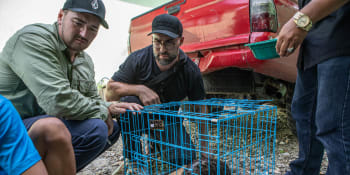 Na lovu pašeráků: Jak Češi zachraňují indonéskou divočinu