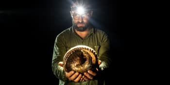 Od ochrany ptactva k lovu pytláků želvích vajec: Co dokázali Češi v Indonésii?