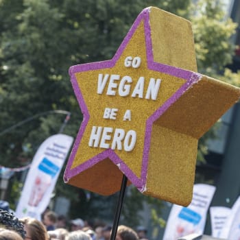 Protest veganů