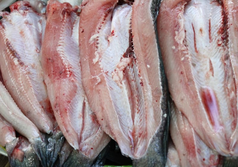 Rybí maso může být zrádné