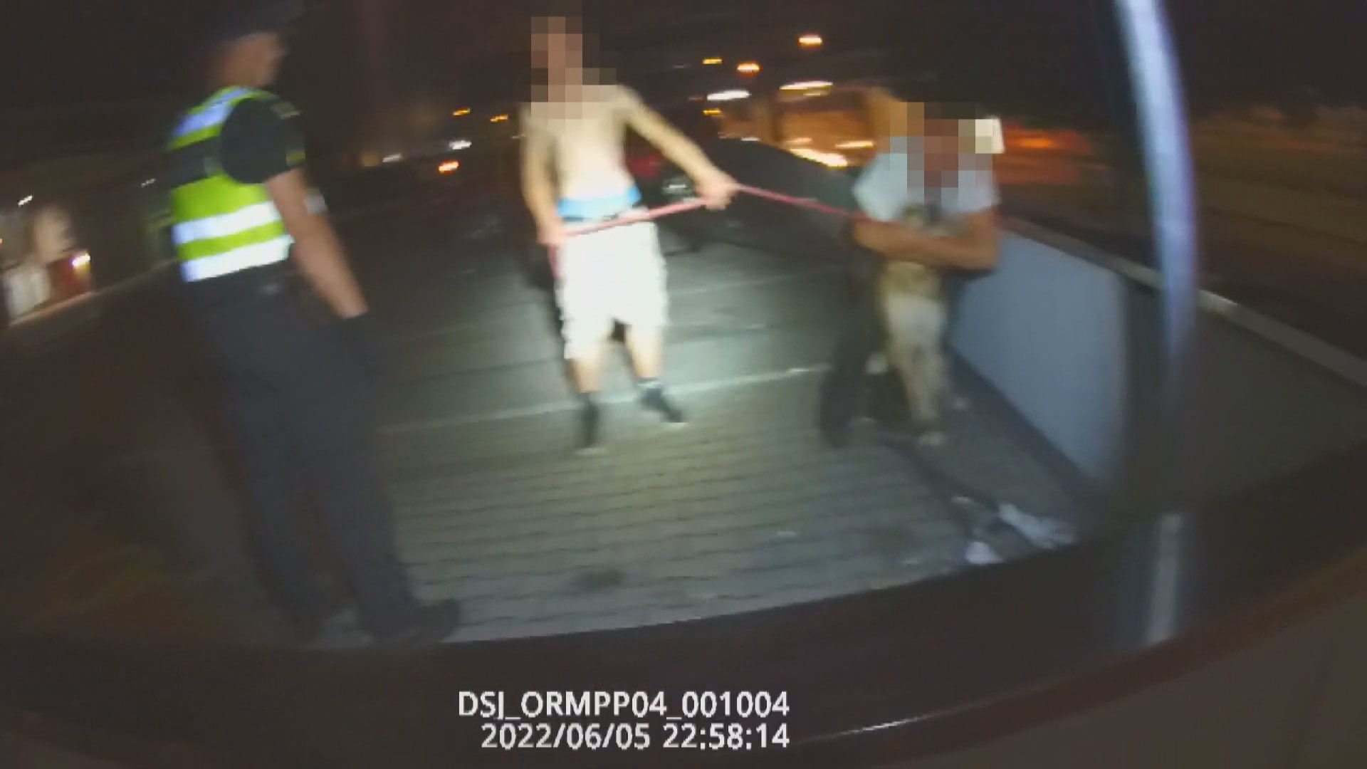 Vyhrocený konflikt v Praze. Zfetovaný a opilý muž plival na strážníky, poštval na ně i psa