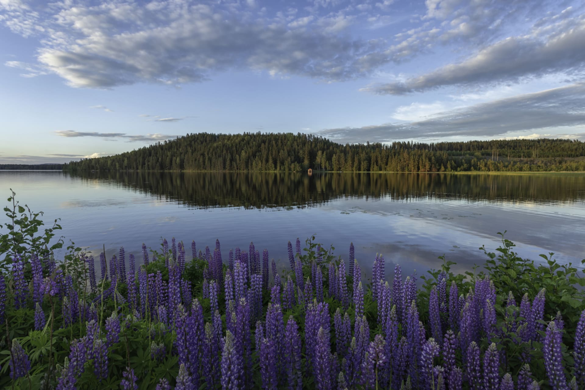  Okraj jezera ve švédské Dalarně  