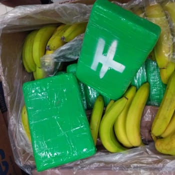 Lisované kostky kokainu, v krabicích od banánů, nalezli dnes odpoledne pracovníci supermarketu v Jičíně a Rychnově nad Kněžnou. 
