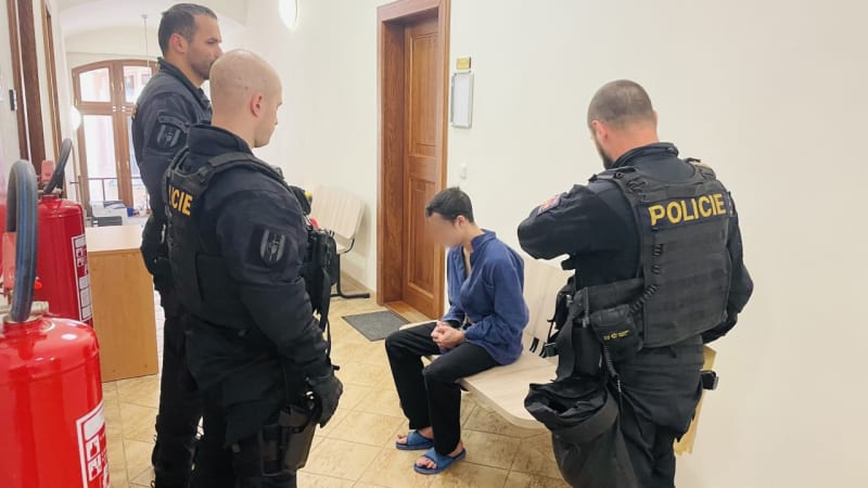 Obviněného muže, který podle policie pobodal svou matku v Děčíně, poslal soud v pátek do vazby.