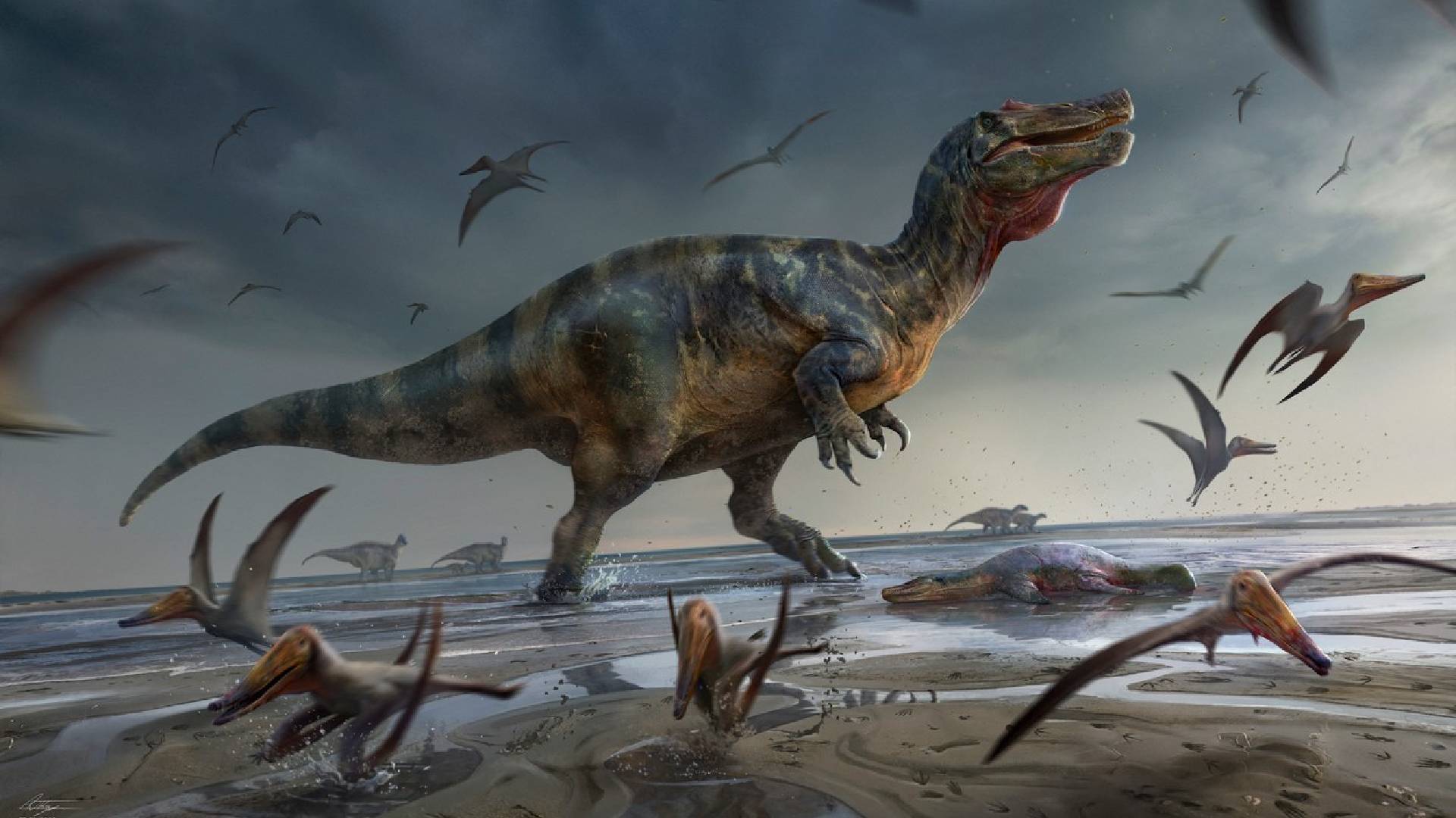 Dvounohý dravý dinosaurus žil v době stoupající hladiny moří 