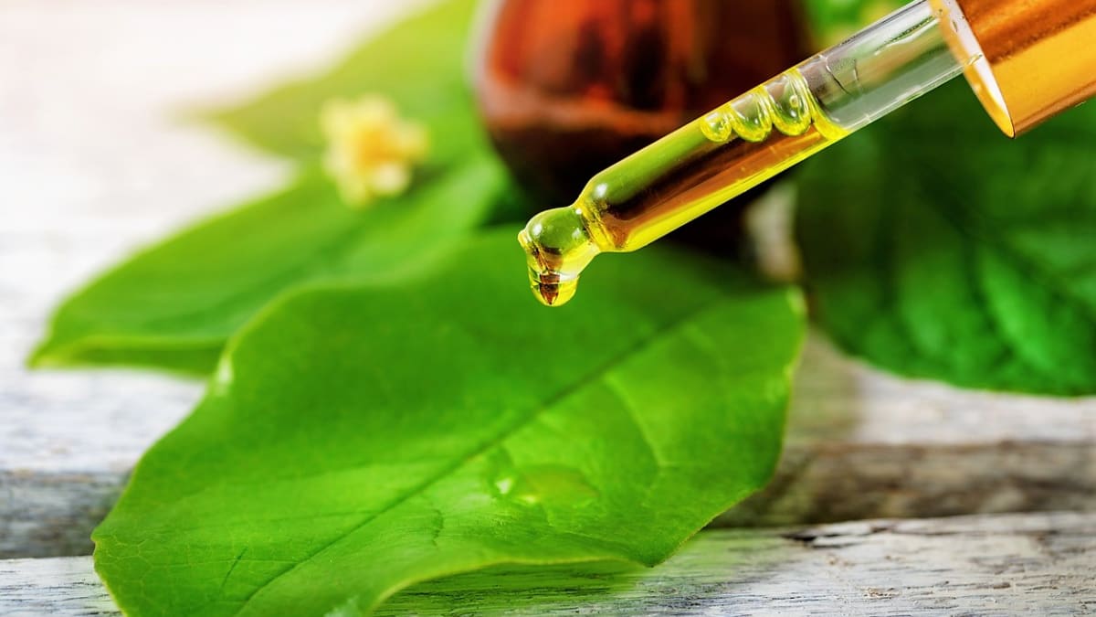 8 tipů, na co je dobrý tea tree olej a jak australský léčivý poklad využít 