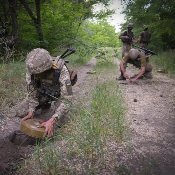 Ukrajinští vojáci kladou protitankové miny na lesní cestě v Doněcké oblasti, kudy by mohly projíždět ruské tanky.