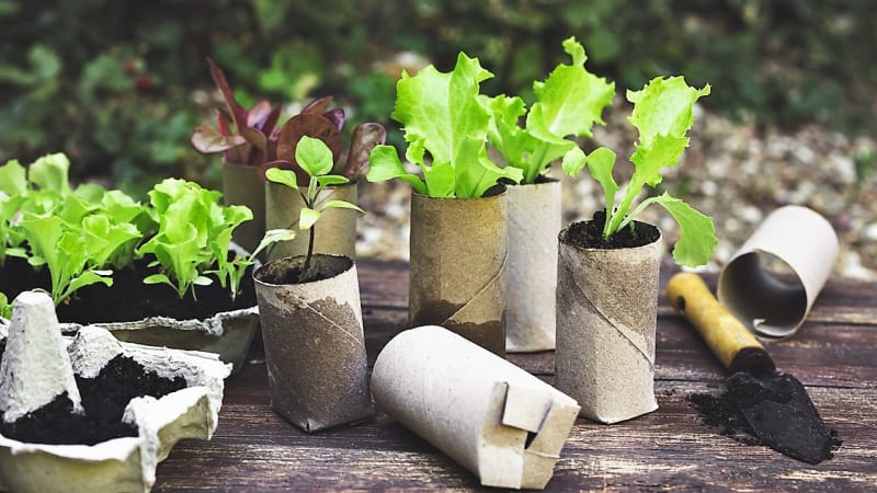 Nápady, jak využít zdánlivě nepotřebné papírové ruličky od toaleťáku v zahradě i doma