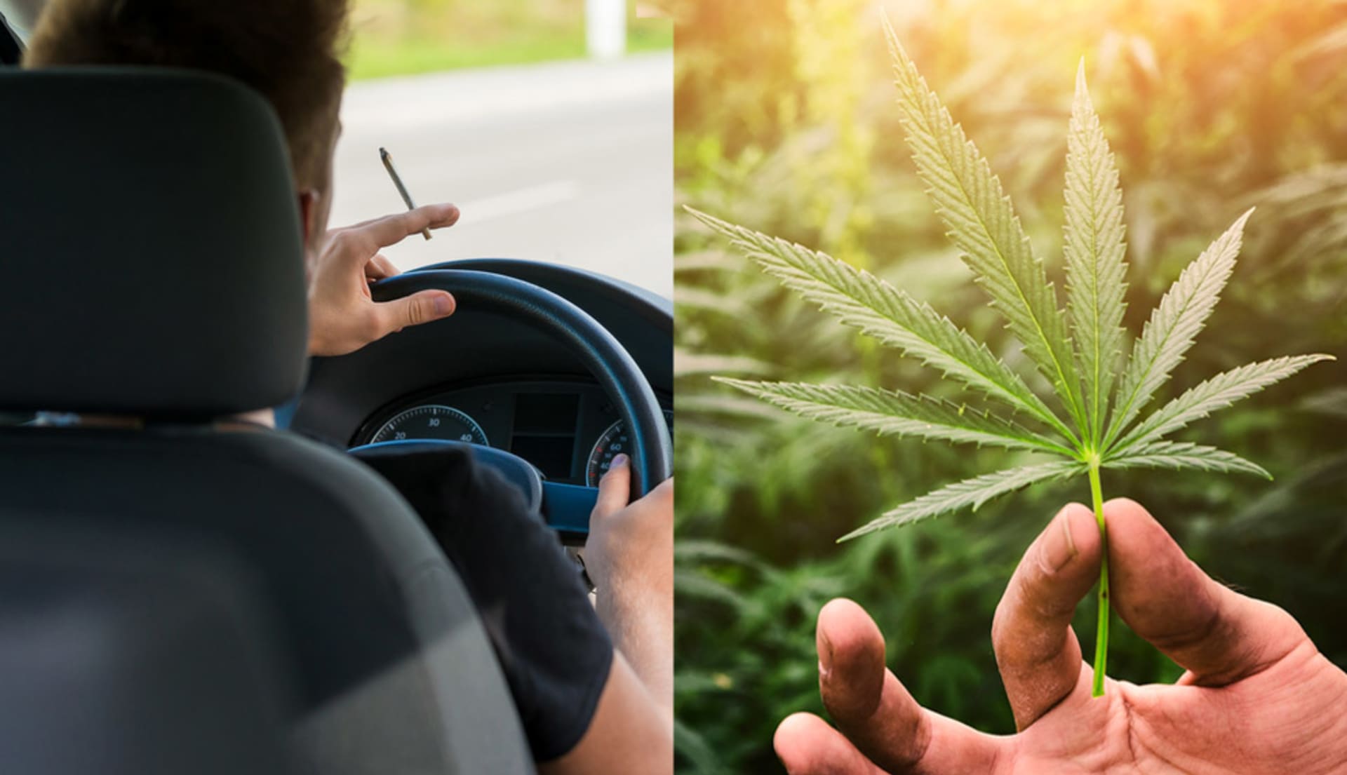 Doopravní nehodovost a legalizace marihuany mají souvislost