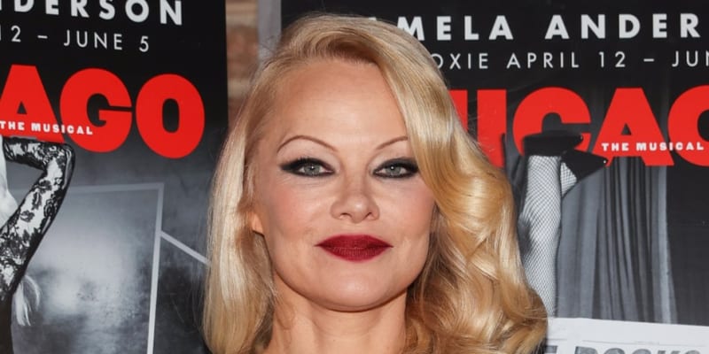 Pamela Anderson má dva syny.
