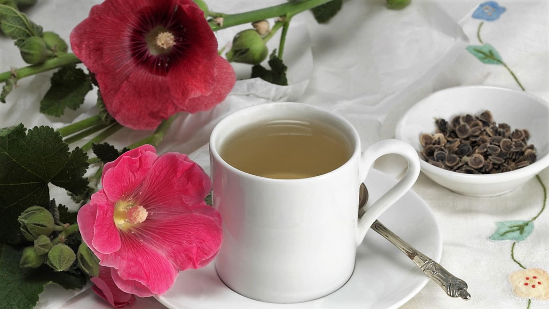 Vlažný čaj z topolovky růžové pomáhá při kašli zažívacích potížích 