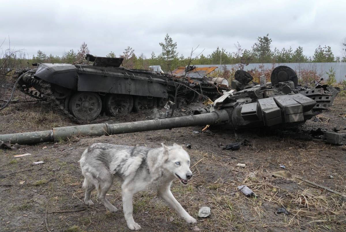 Zničený ruský tank poblíž Kyjeva