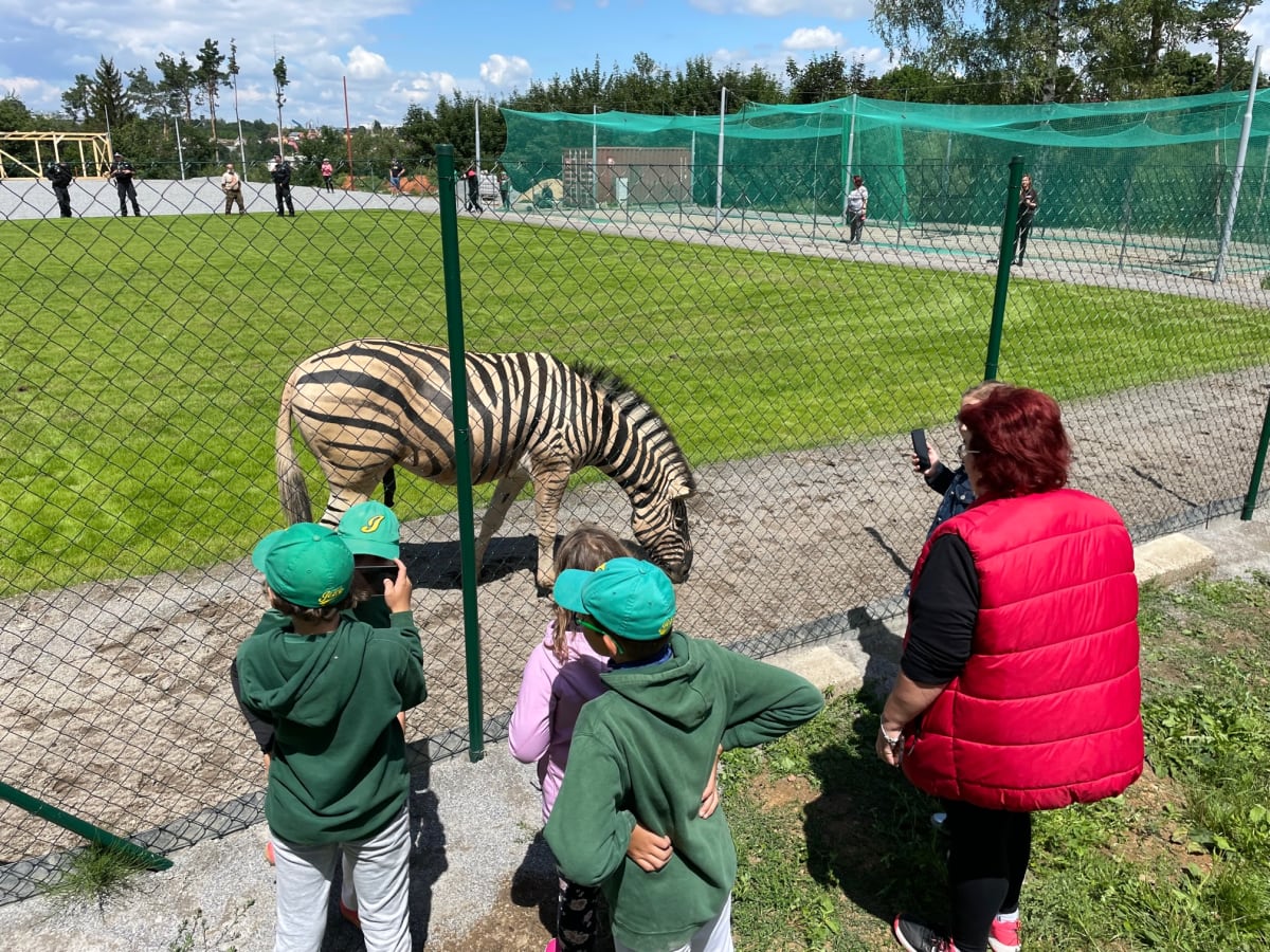 Z jihlavské zoologické zahrady v pondělí dopoledne utekly tři zebry.
