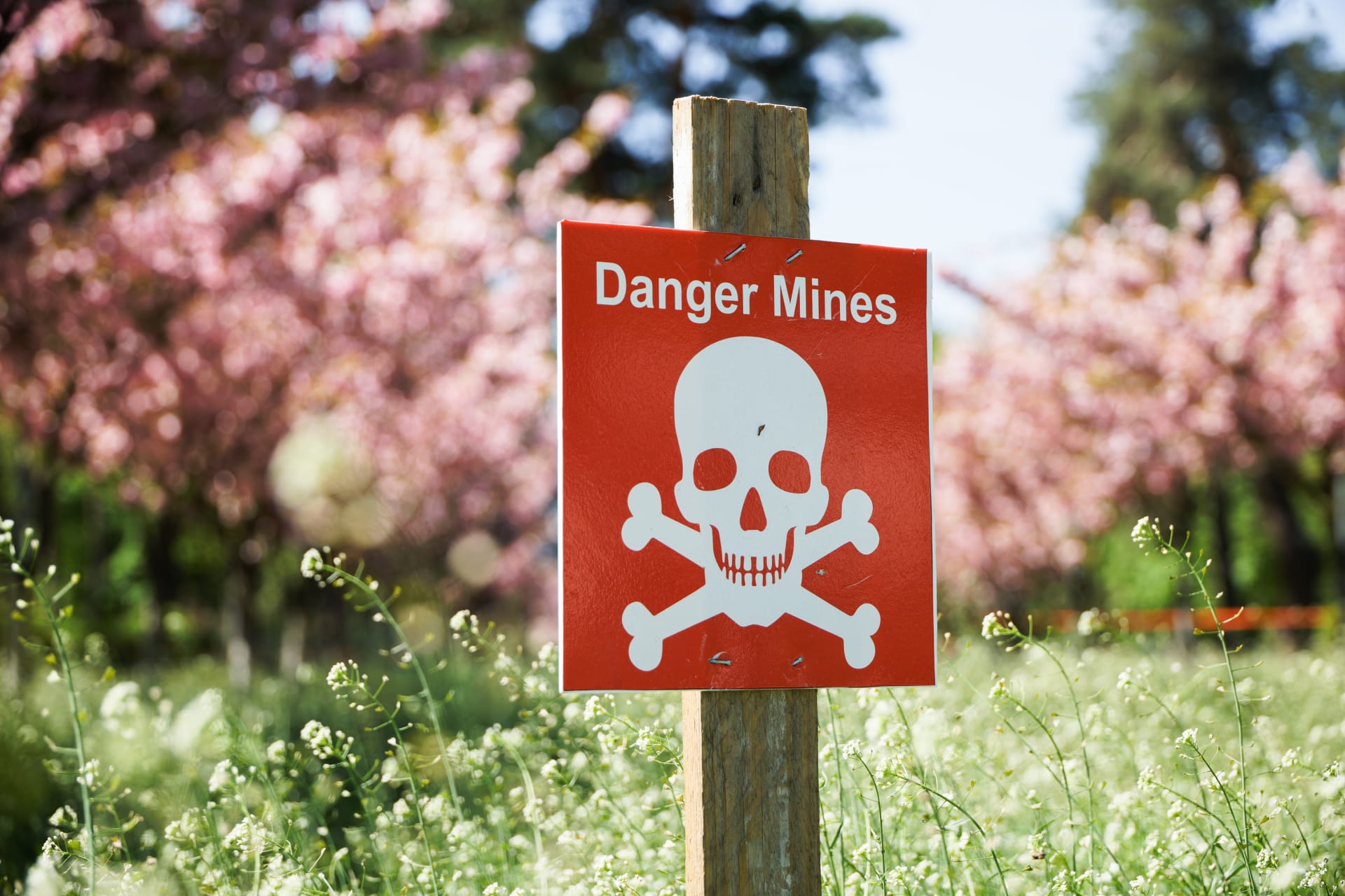 Po celém světě číhají na svou chvíli desítky milionů nastražených min.