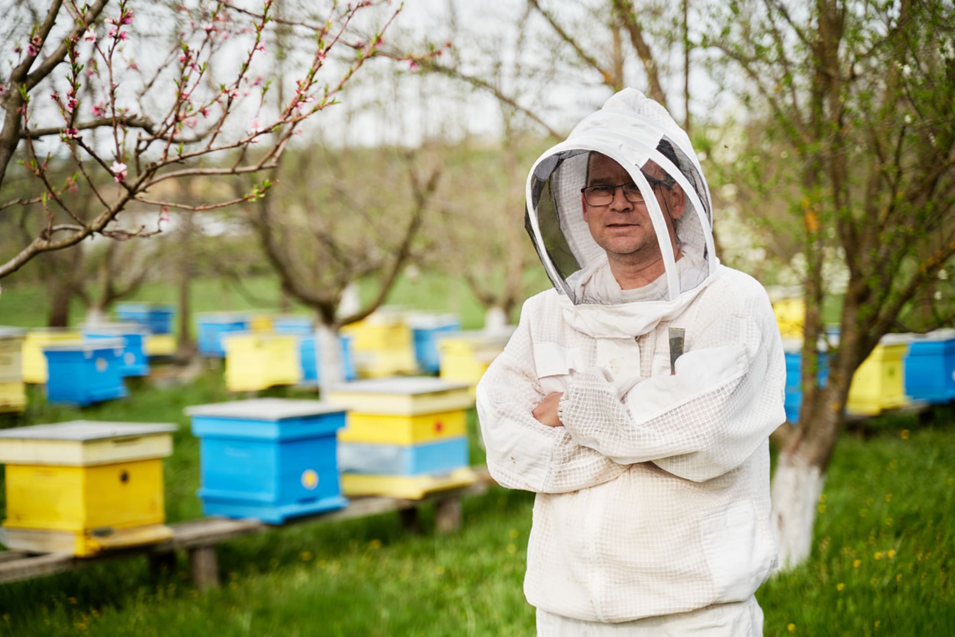 Včelaři se raději chrání speciálním oblekem