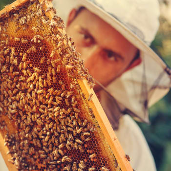 To bude medu!