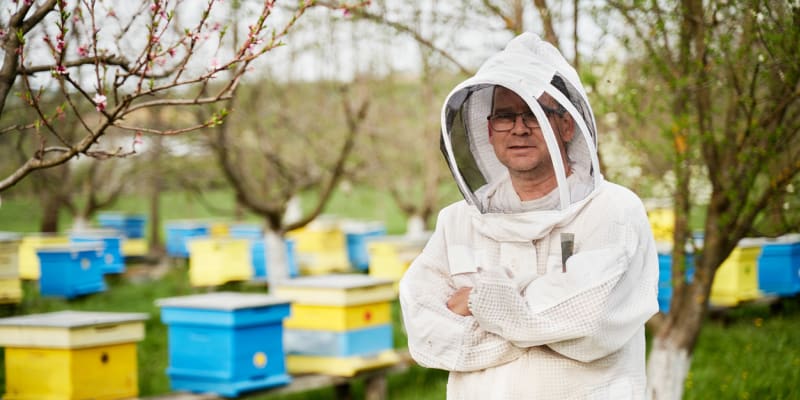 Včelaři se raději chrání speciálním oblekem