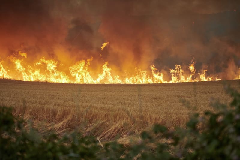 Lesní požáry ve Španělsku jsou způsobené extrémním vedrem.