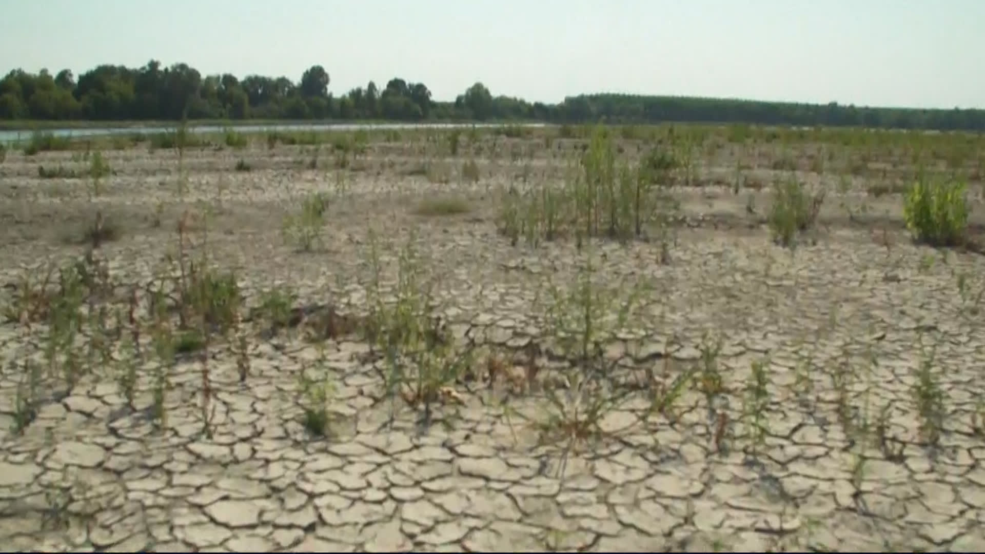 Itálii drtí nejhorší sucho za 70 let, farmáři jsou zoufalí.