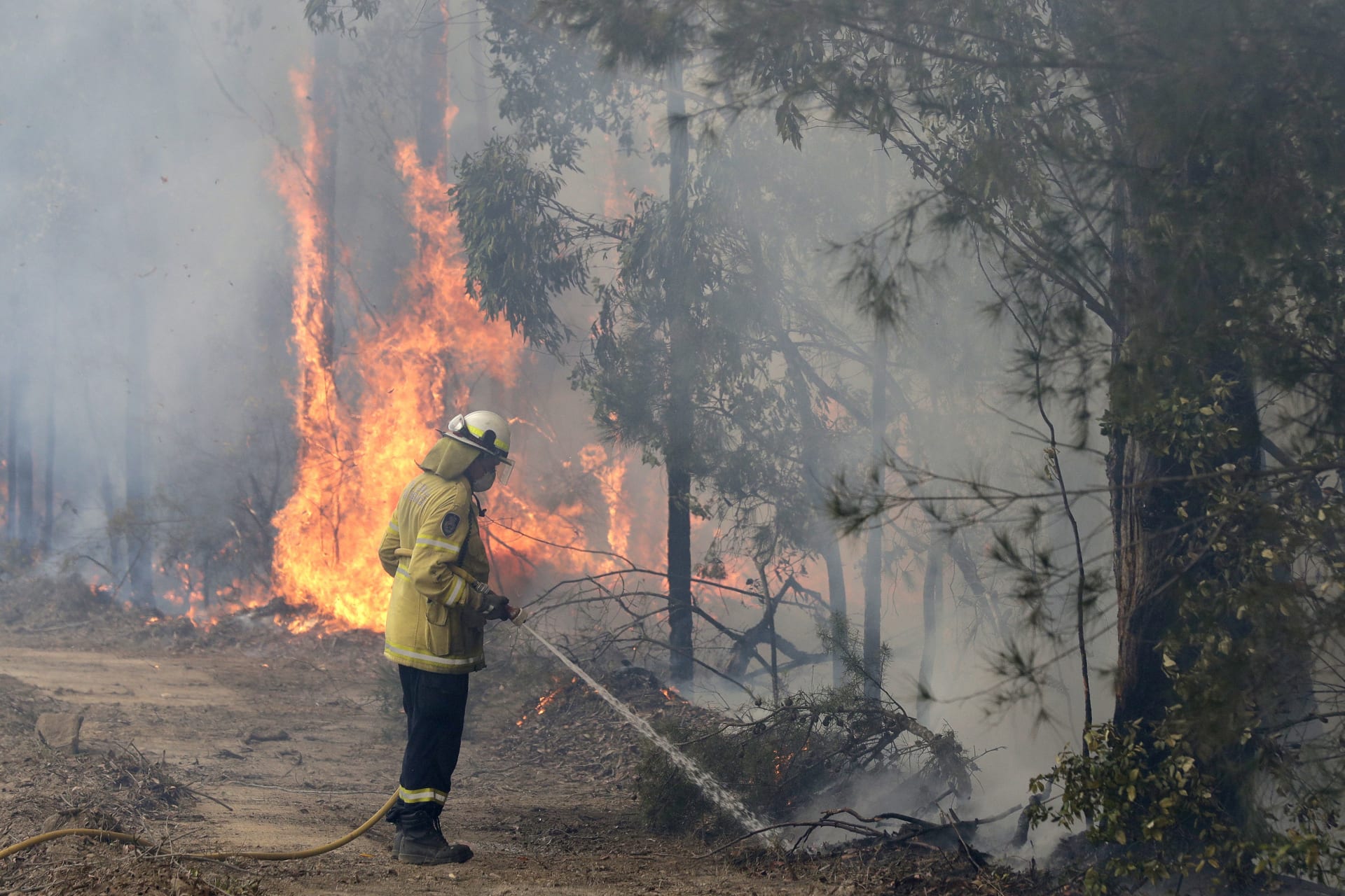 Australské požáry mají ničivou sílu