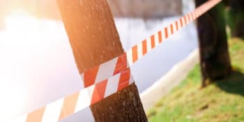 Tragédie v kempu na Žďársku. Na ženu spadla větev z borovice, i přes okamžitou pomoc zemřela