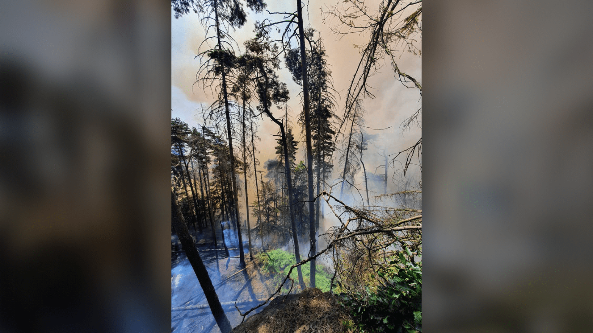 U Pravčické brány hoří les, na místě zasahuje 16 jednotek hasičů.