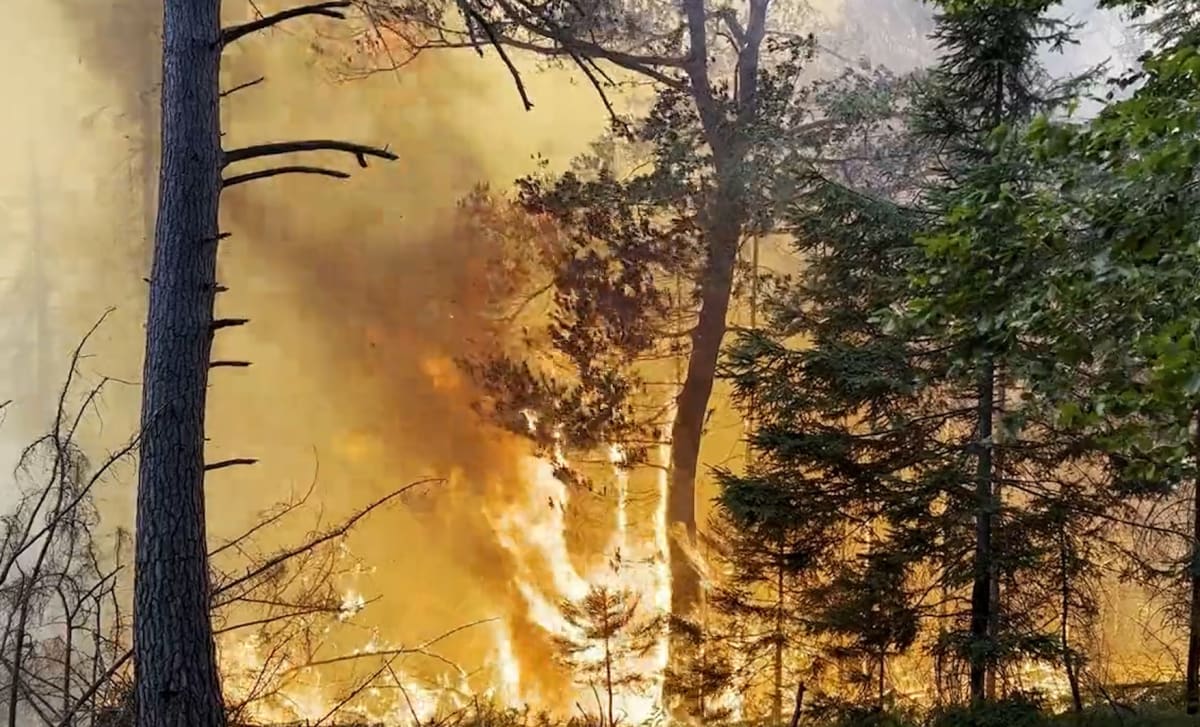 Požár podle mluvčího hasičů Lukáše Marvana hrubým odhadem probíhá na území 30 hektarů.